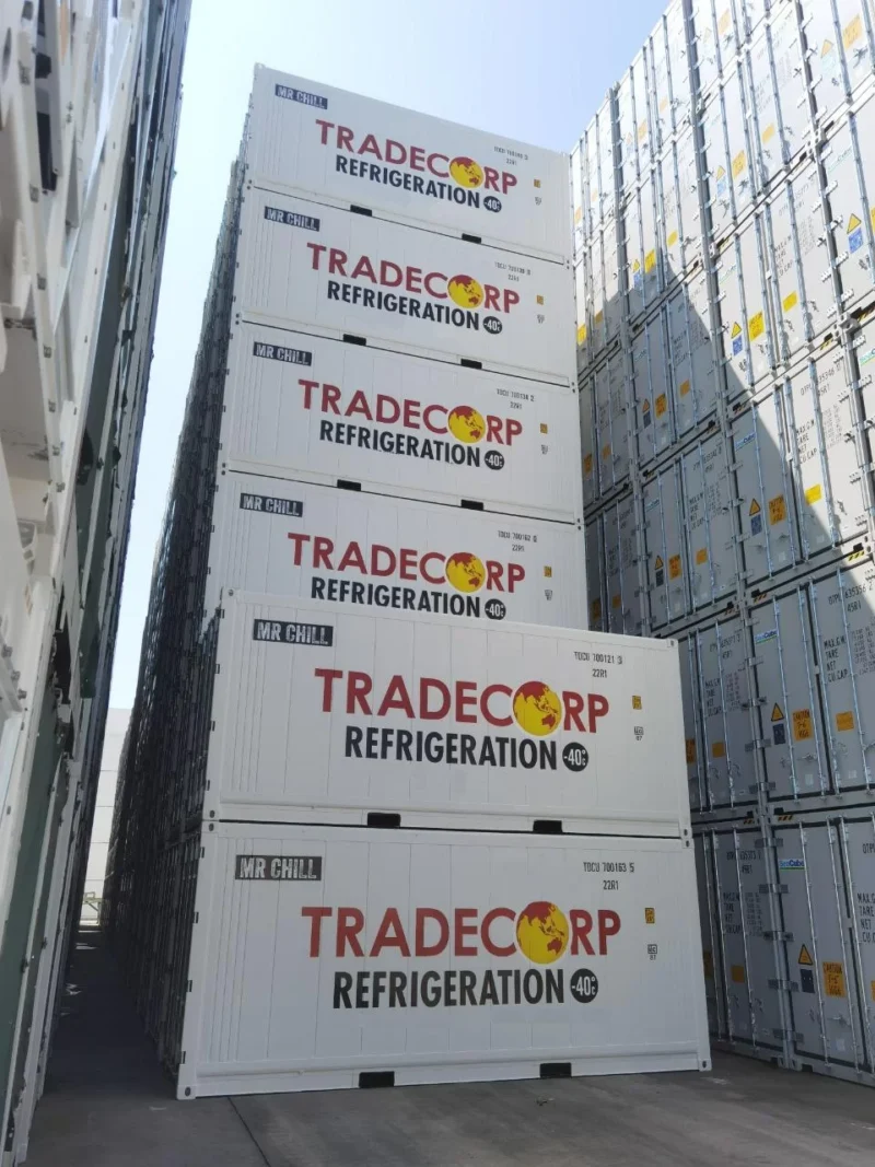 20' Refrigerated Container (Thermo King Magnum +) - Image 5