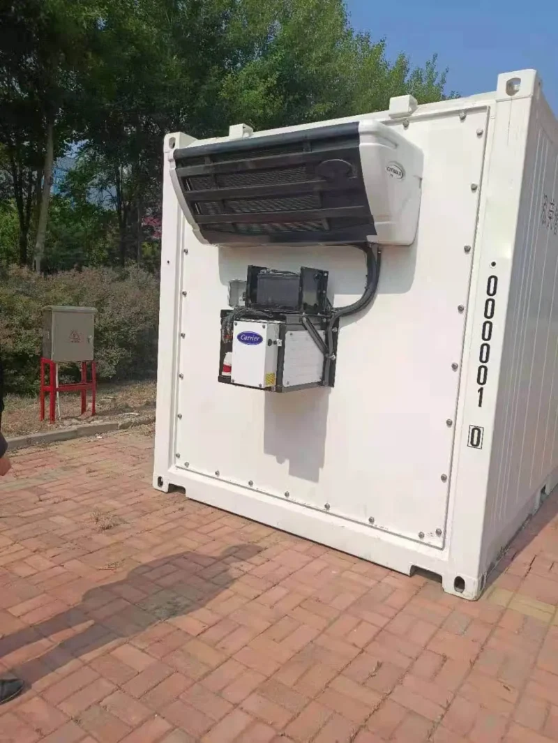 20ft Reefer Container — Carrier Citimax - Image 2