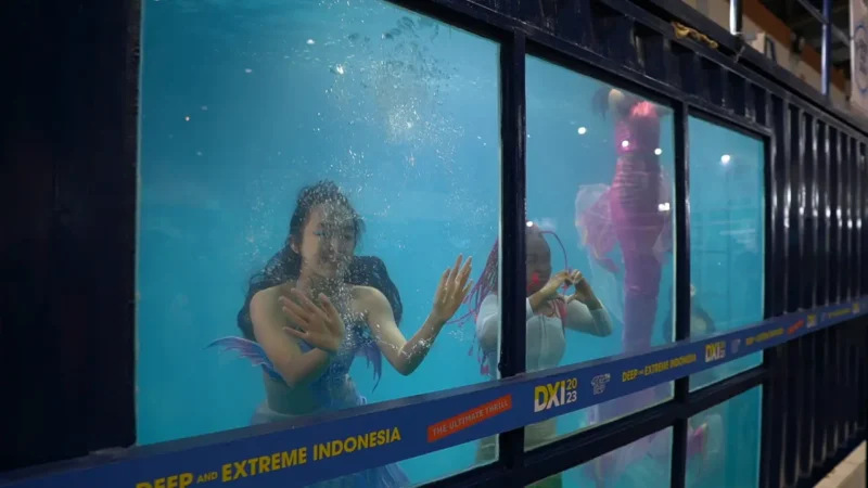 Swimming Pool Container - Image 4
